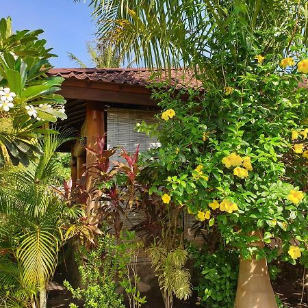 Waiara Village Guesthouse Maumere Εξωτερικό φωτογραφία